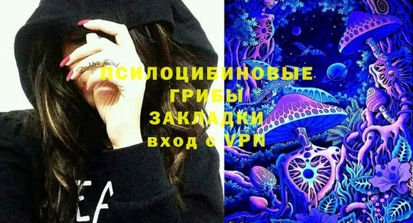 крисы Бугульма