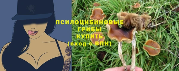 эйфоретик Нефтекумск
