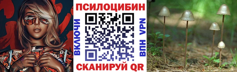 наркошоп  Шагонар  гидра ССЫЛКА  Псилоцибиновые грибы прущие грибы 